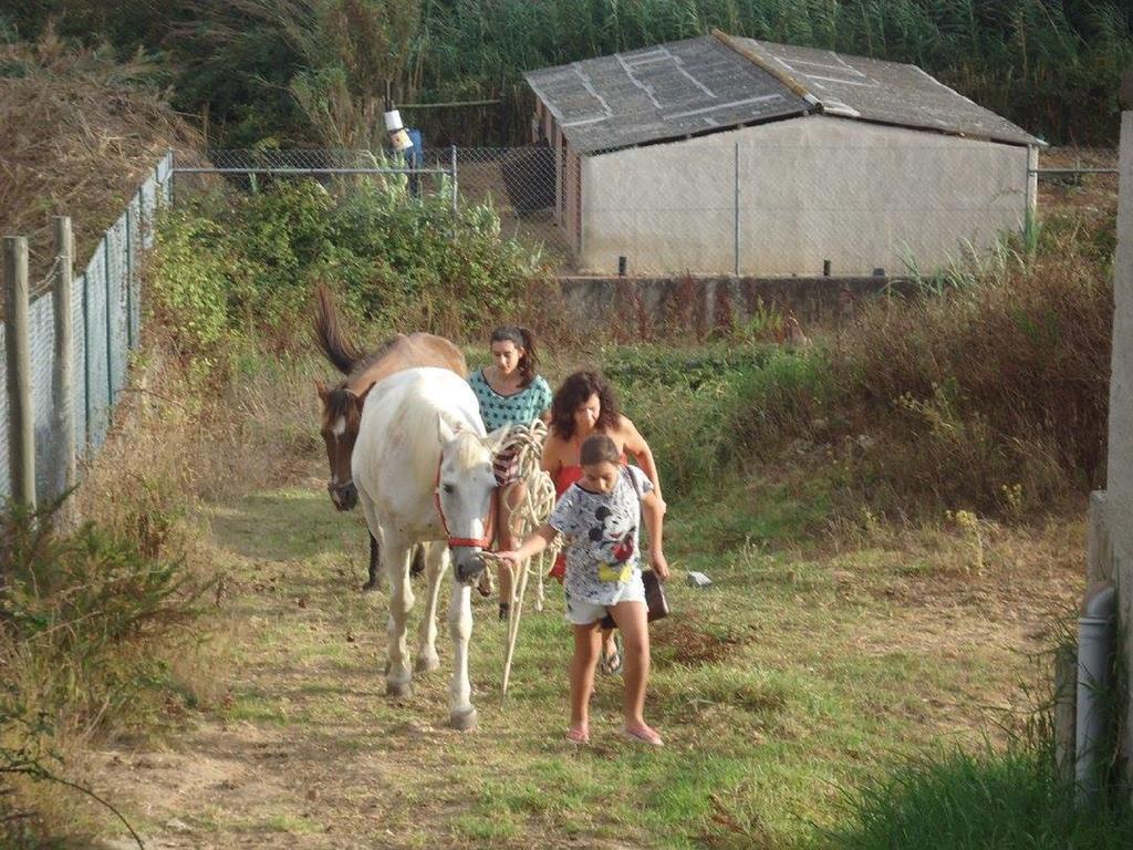 Pensjonat Quinta Do Forno Maçeira Zewnętrze zdjęcie